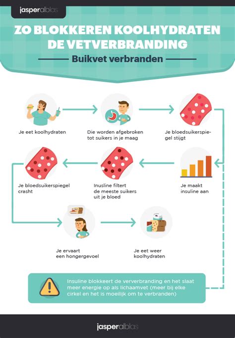 buikvet verbranden eetschema|Snel Afvallen Buik: Top 8 Tips om Buikvet te。